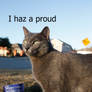 lol catness