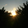 sun