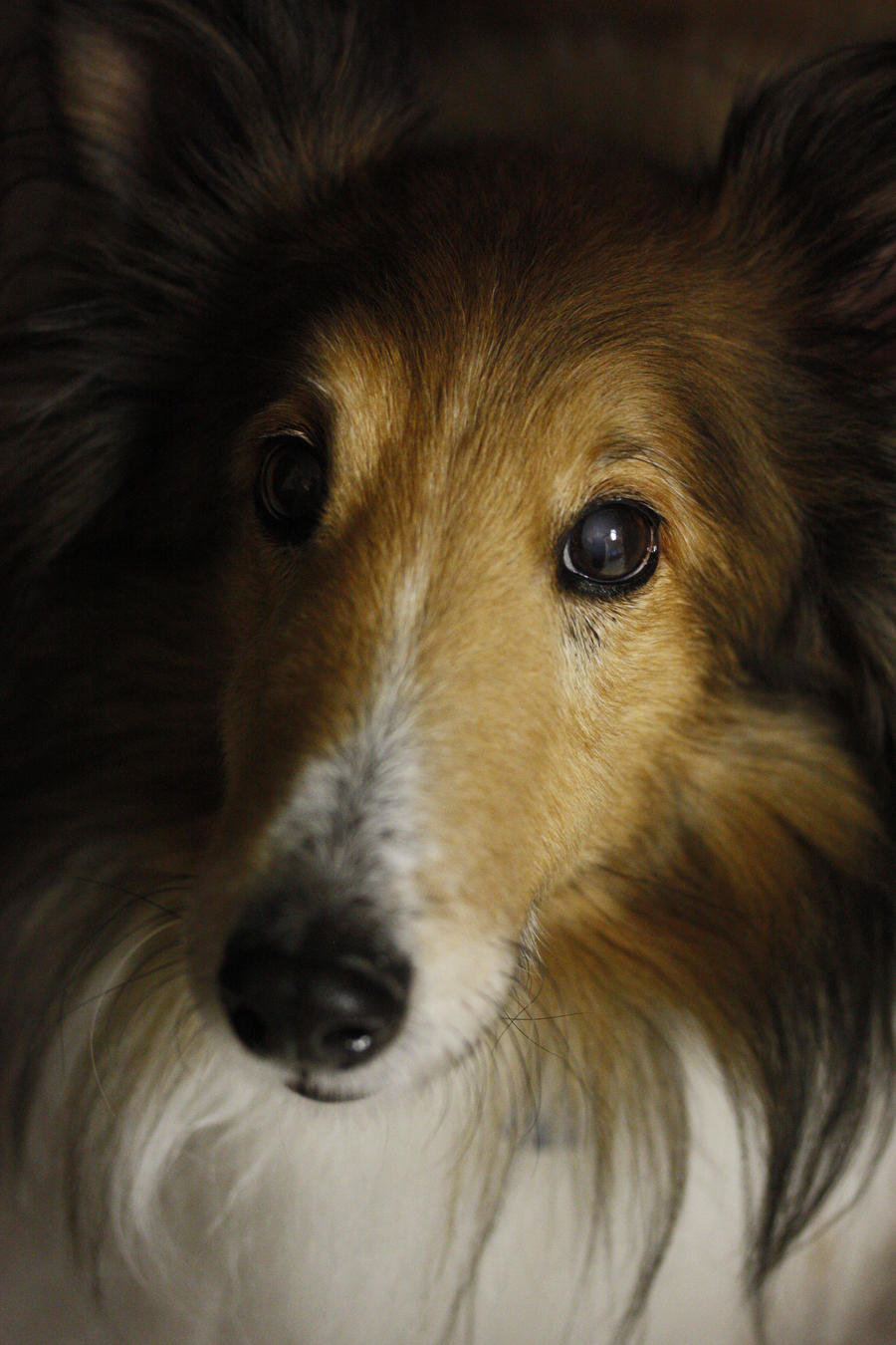 Rusty