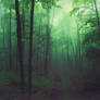 STOCK : ENCHANTED FOREST : PRE-MADE BACKGROUND