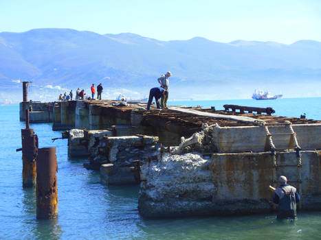 Life on broken pier