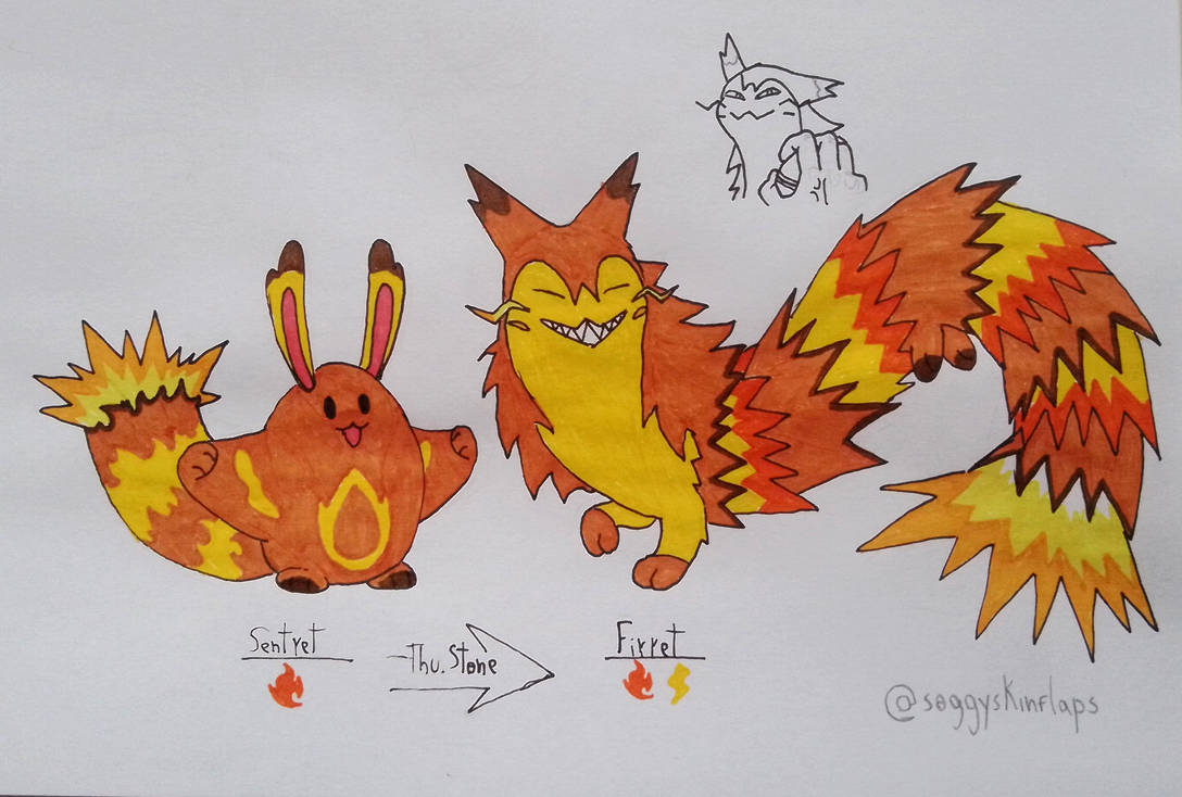 Sentret Evolution Form My first regional forms, Sentret and Firret by Soggyskinflaps on DeviantArt