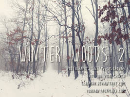 Winter Woods 2