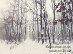 Winter Woods 2 by KlaraKay