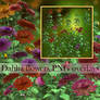 Dahlia flowers PNG overlays, 3d renders