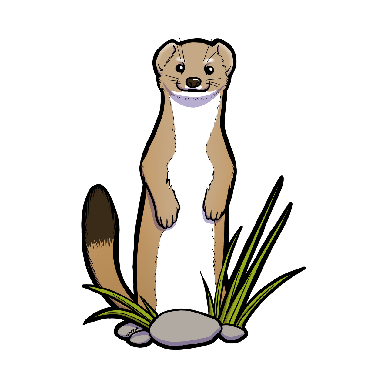 Friendly Stoat by KittenSaffia on DeviantArt