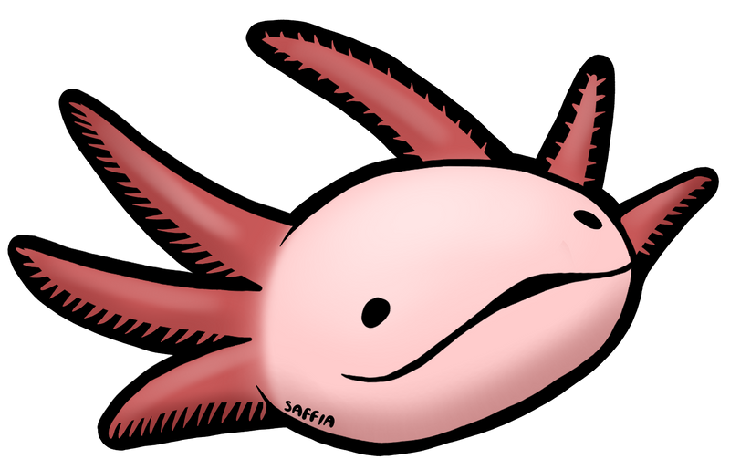 A gooby lil axolotl friend by KittenSaffia on DeviantArt