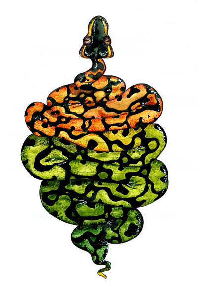 python by elCounto on DeviantArt