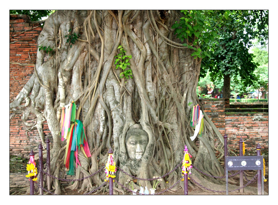 head in tree by Justplainruss on DeviantArt