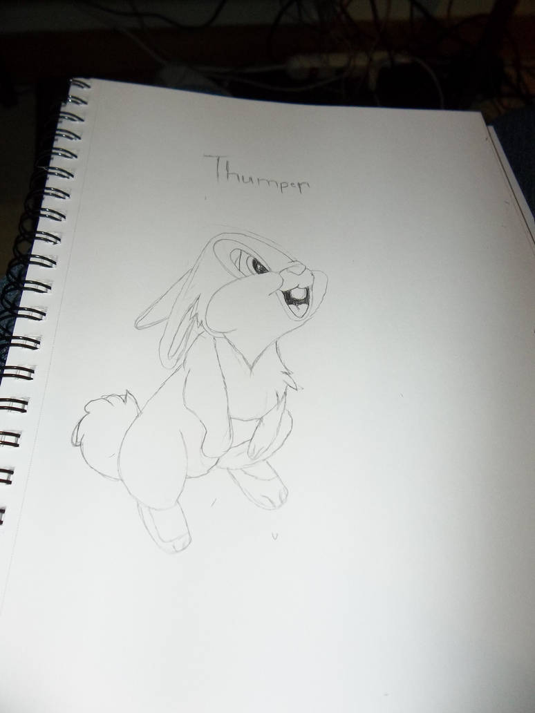 Deviantart Thumper Rabbit Thumper by red103 on DeviantArt