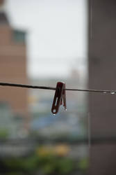 Clothes peg