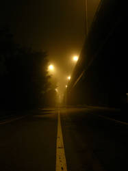 Fogy road