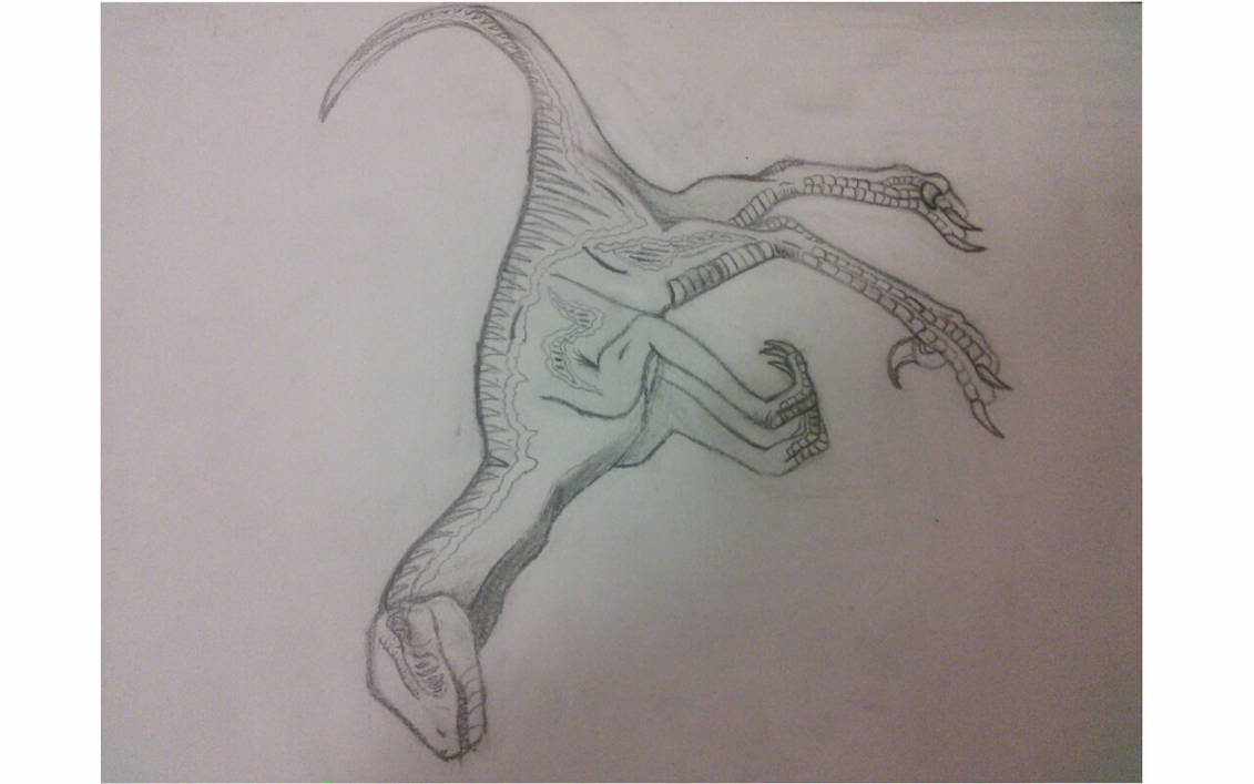 Raptor OC: Wildfire by Fireclaw71 on DeviantArt