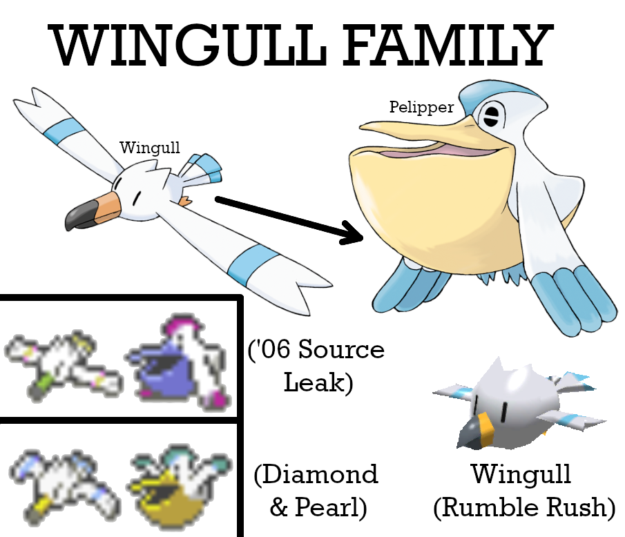 Wingull Family Collage by AuroraObfuscate on DeviantArt