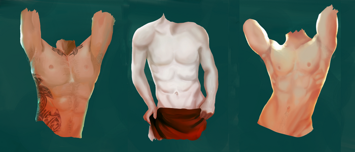 Male Torso Study