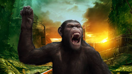 Rise of the apes