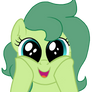 Silly Numptie Squee