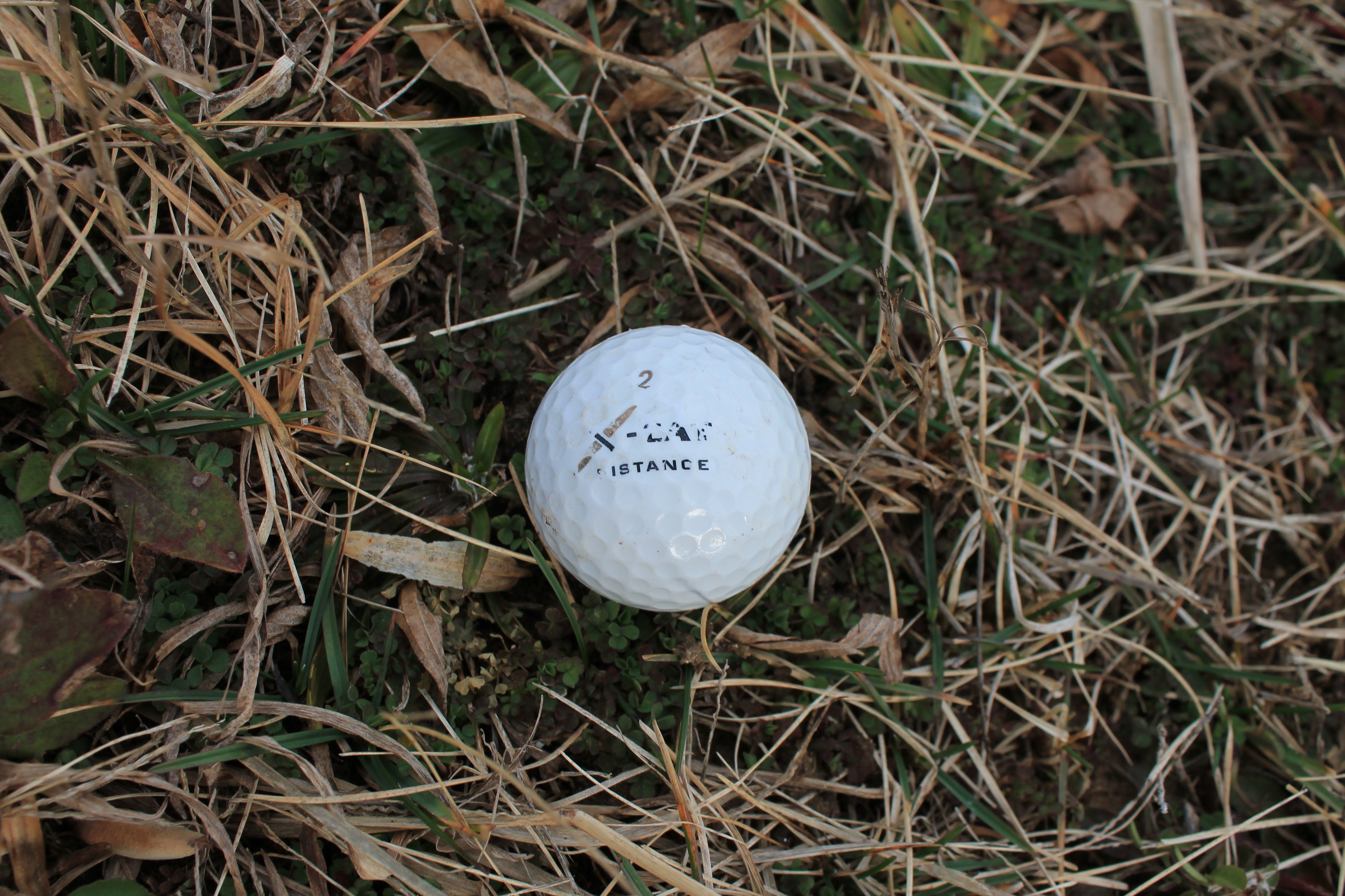 The Lost Golf Ball: A Pretentious Still Life