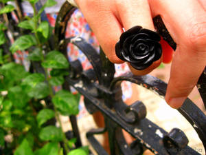 Black Rose