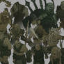 Orcs