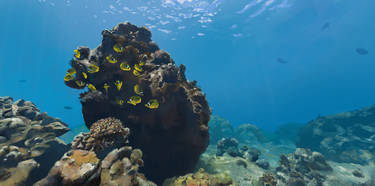 Hanauma bay