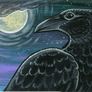 Crow Moon