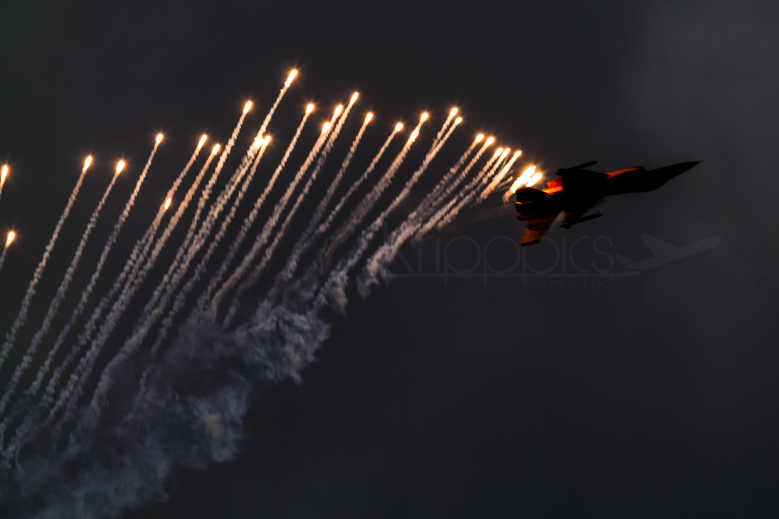 Flaring Lion by Kripppics on DeviantArt