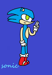 Sonic the h