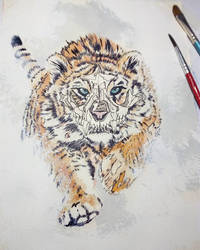 Tiger watercolor