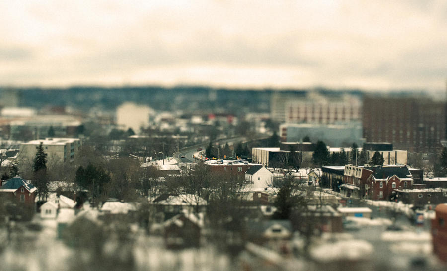 Tilt Shift