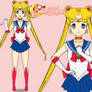 Sailor Moon-SM-Kisekae