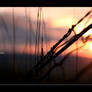 Rhythms Divine