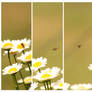 One, Two, Bee