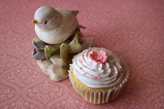Birds and Cupcakes