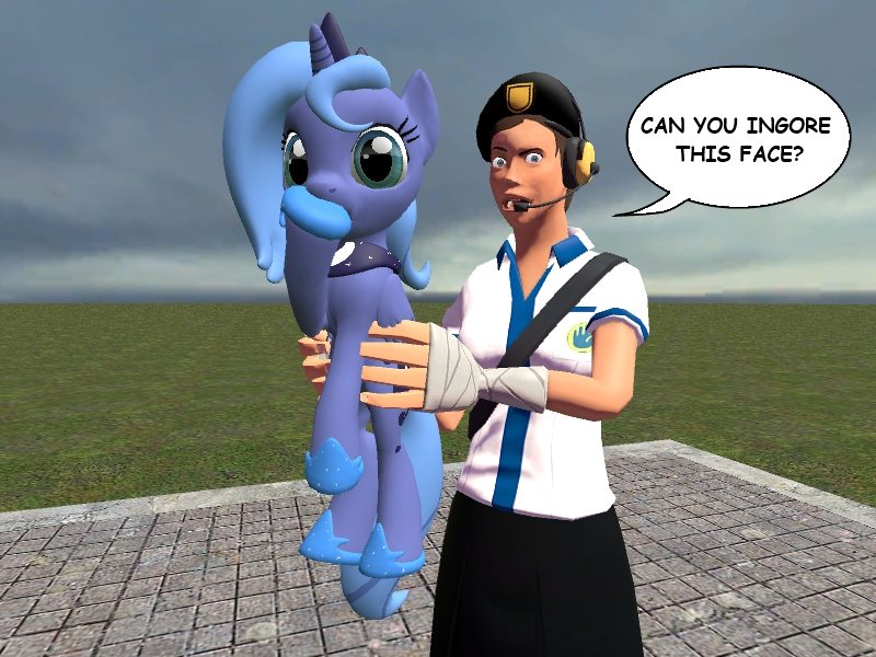 Someone says that ponies are evil