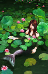 Mermaid Among Lillies