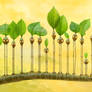 Sprouts