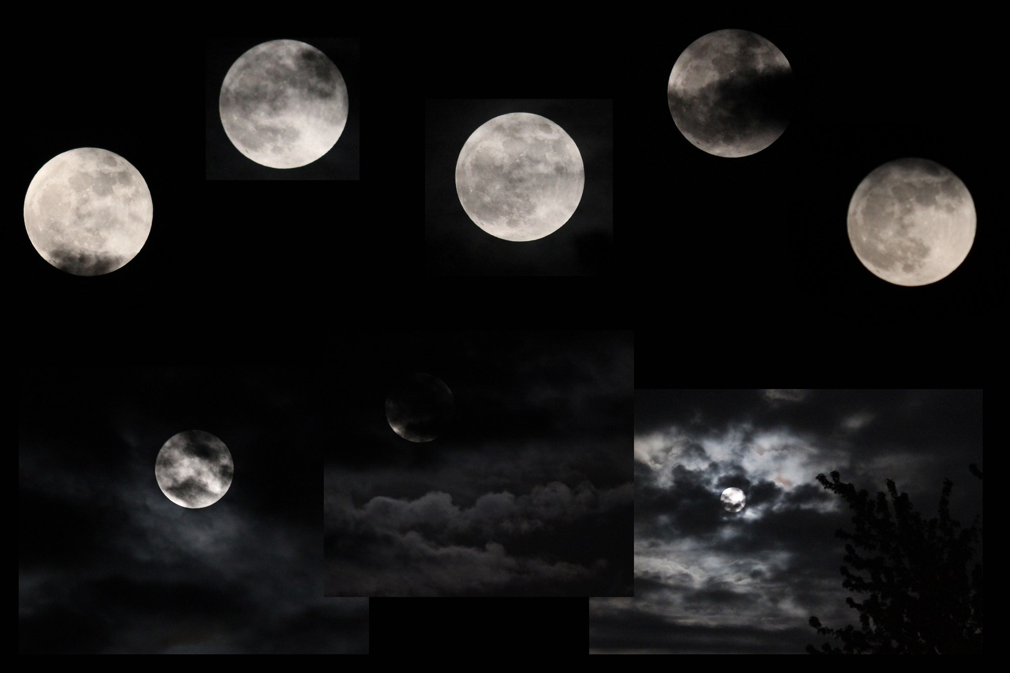 Moon Collage