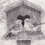 Sparrows