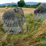 Four Stones, Powys