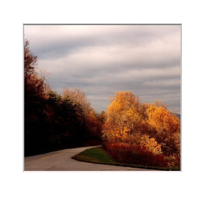 Blue Ridge Parkway, Autumn