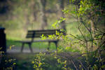Solitary Bench by Regel999