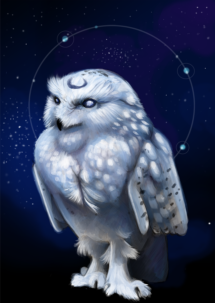 Galactic Meowl Galaxy Owl by MilaDierksen on DeviantArt