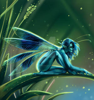 Dragonfly Fairy