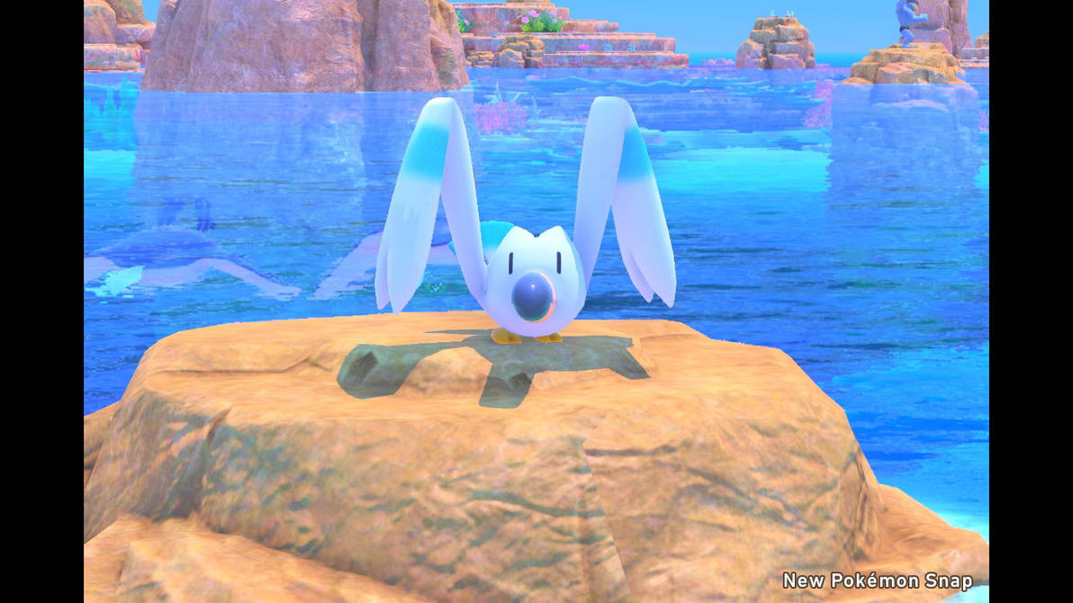 Wingull 1star by Faxwell23 on DeviantArt