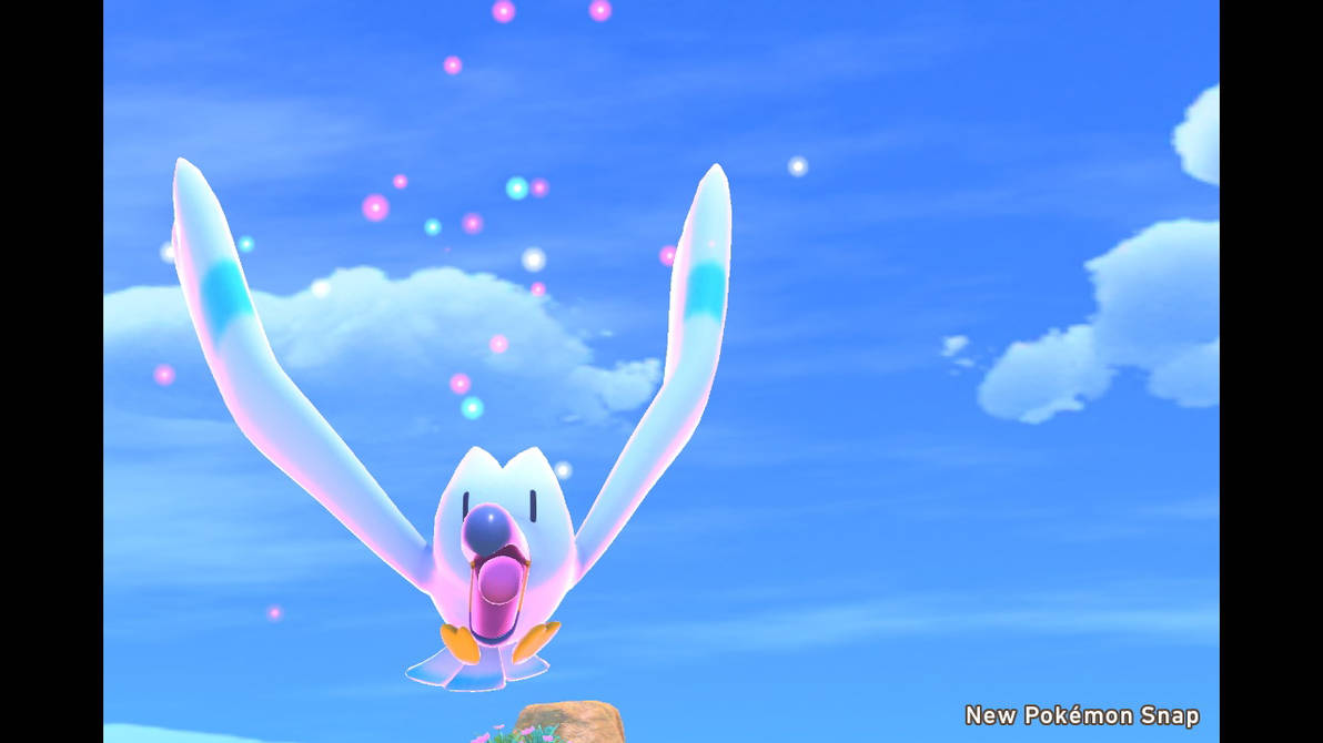 Wingull 2star by Faxwell23 on DeviantArt