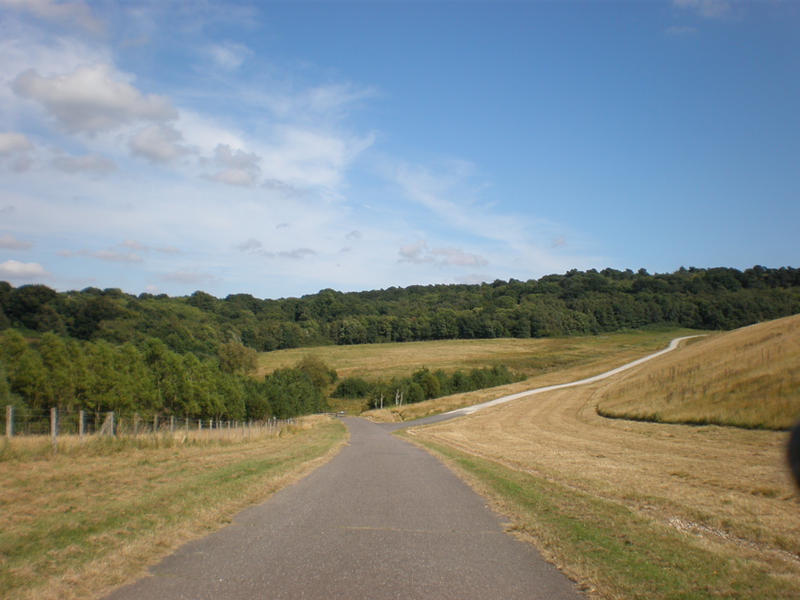 endless pathway by narin300 on DeviantArt