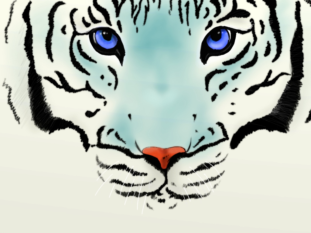 Tigre Blanc