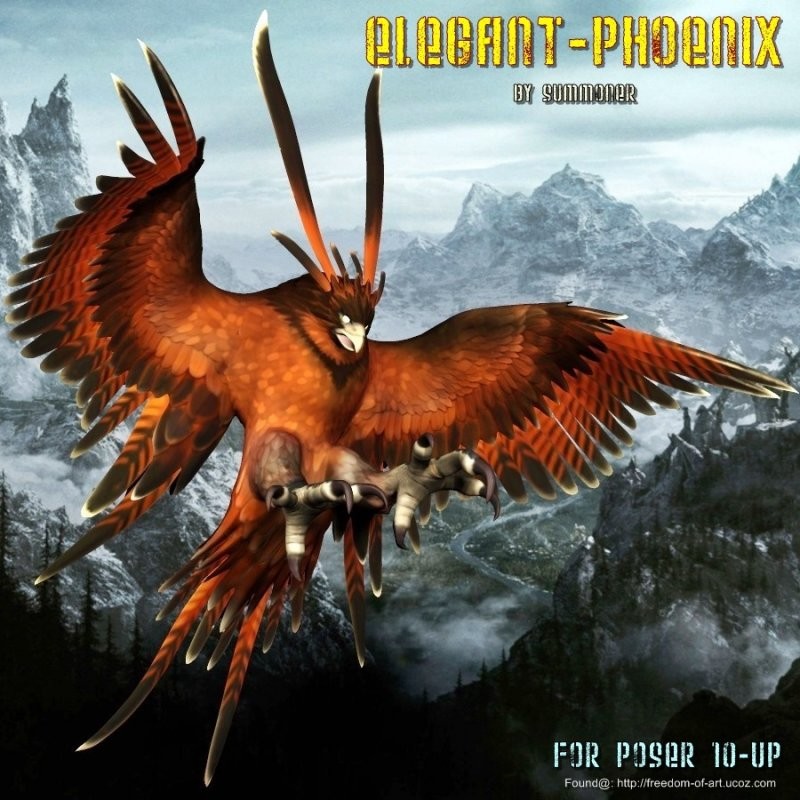 Elegant Phoenix, by Summoner