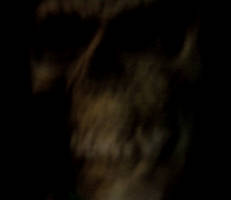 What lurks in the dark